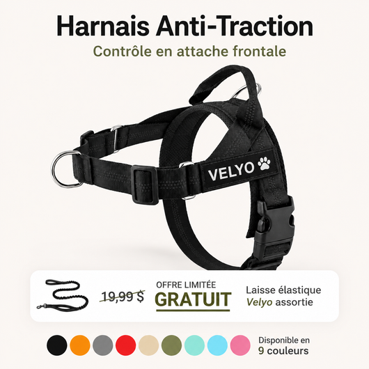Harnais Anti-Traction