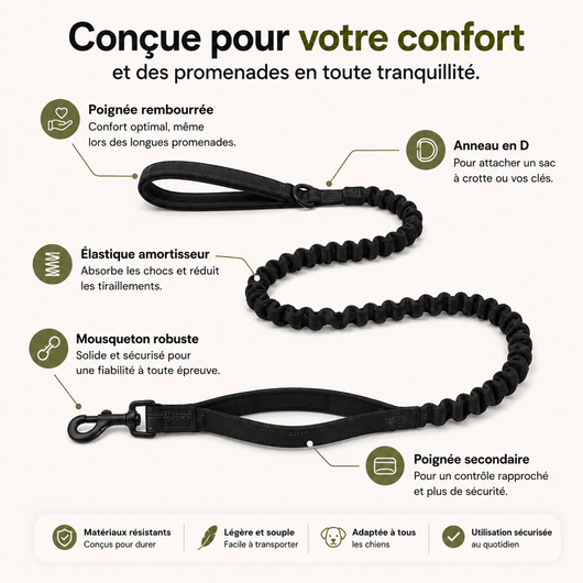 Harnais Anti-Traction